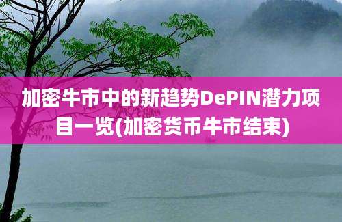 加密牛市中的新趋势DePIN潜力项目一览(加密货币牛市结束)