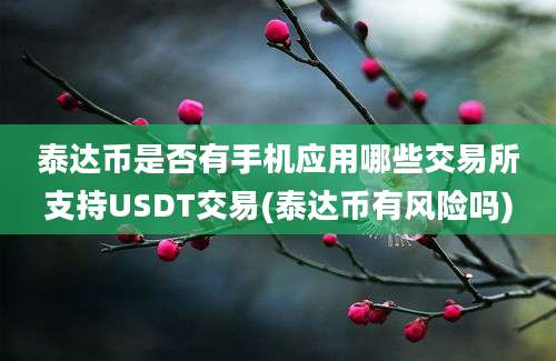 泰达币是否有手机应用哪些交易所支持USDT交易(泰达币有风险吗)