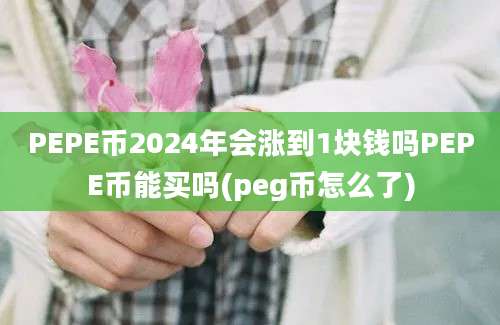 PEPE币2024年会涨到1块钱吗PEPE币能买吗(peg币怎么了)