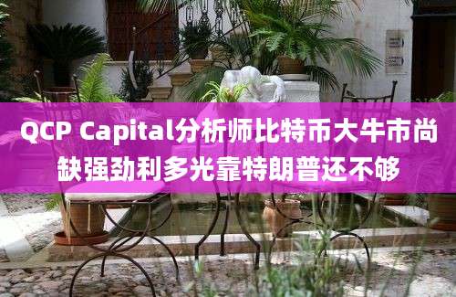 QCP Capital分析师比特币大牛市尚缺强劲利多光靠特朗普还不够