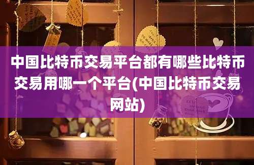 中国比特币交易平台都有哪些比特币交易用哪一个平台(中国比特币交易网站)