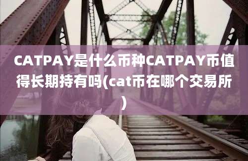 CATPAY是什么币种CATPAY币值得长期持有吗(cat币在哪个交易所)