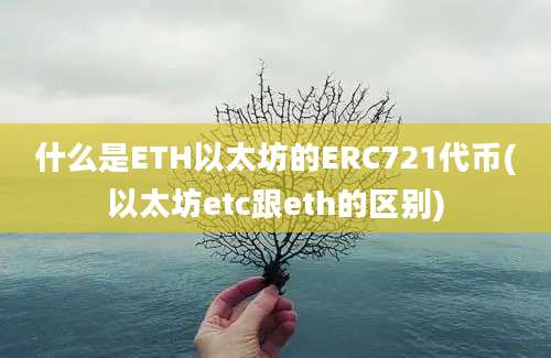 什么是ETH以太坊的ERC721代币(以太坊etc跟eth的区别)