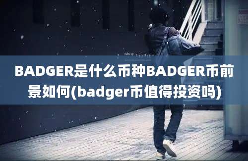 BADGER是什么币种BADGER币前景如何(badger币值得投资吗)