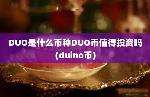 DUO是什么币种DUO币值得投资吗(duino币)