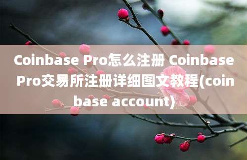 Coinbase Pro怎么注册 Coinbase Pro交易所注册详细图文教程(coinbase account)