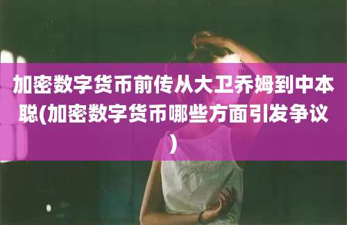 加密数字货币前传从大卫乔姆到中本聪(加密数字货币哪些方面引发争议)