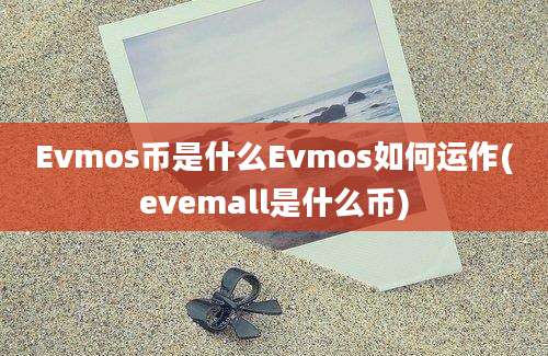 Evmos币是什么Evmos如何运作(evemall是什么币)