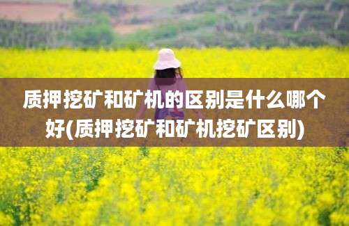 质押挖矿和矿机的区别是什么哪个好(质押挖矿和矿机挖矿区别)