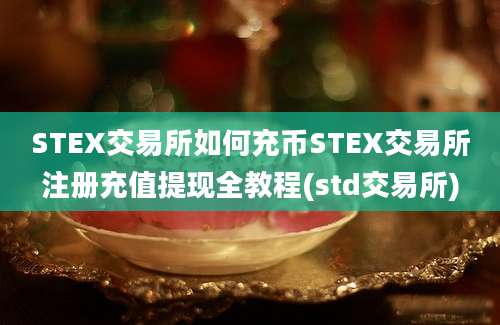 STEX交易所如何充币STEX交易所注册充值提现全教程(std交易所)