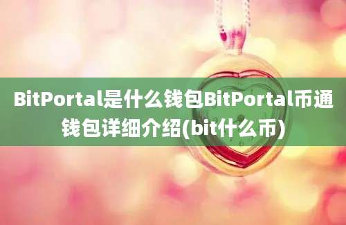 BitPortal是什么钱包BitPortal币通钱包详细介绍(bit什么币)