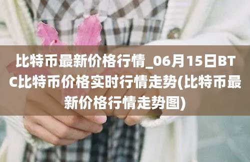 比特币最新价格行情_06月15日BTC比特币价格实时行情走势(比特币最新价格行情走势图)