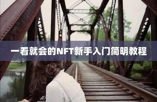 一看就会的NFT新手入门简明教程