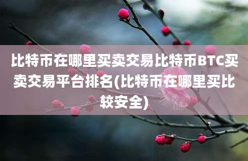 比特币在哪里买卖交易比特币BTC买卖交易平台排名(比特币在哪里买比较安全)