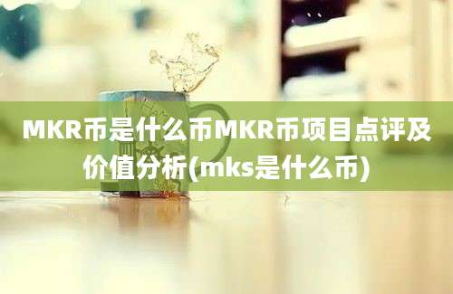 MKR币是什么币MKR币项目点评及价值分析(mks是什么币)