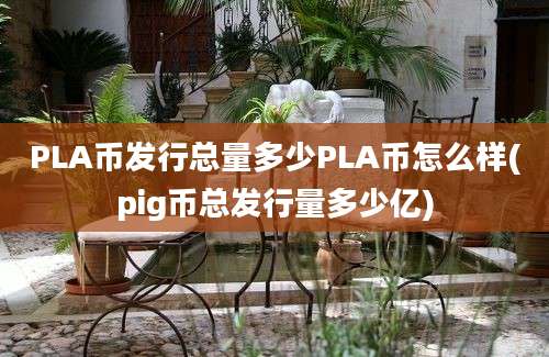 PLA币发行总量多少PLA币怎么样(pig币总发行量多少亿)