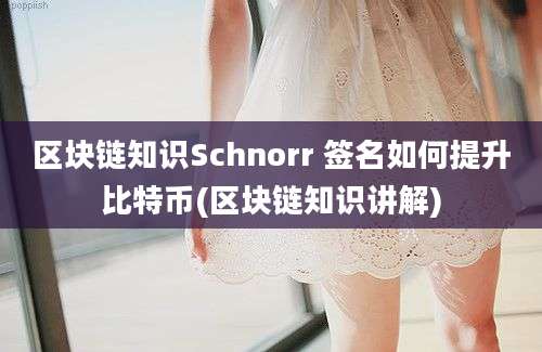 区块链知识Schnorr 签名如何提升比特币(区块链知识讲解)