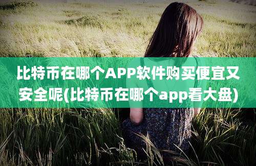 比特币在哪个APP软件购买便宜又安全呢(比特币在哪个app看大盘)