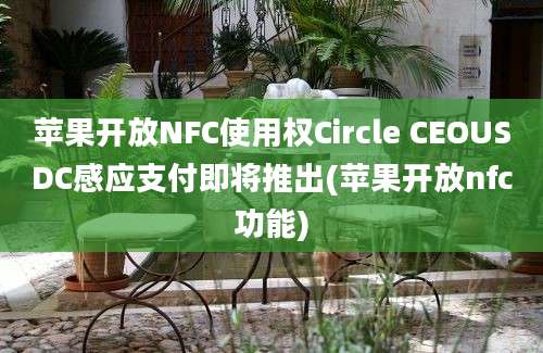 苹果开放NFC使用权Circle CEOUSDC感应支付即将推出(苹果开放nfc功能)