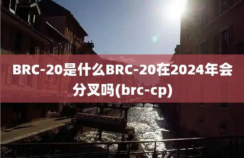 BRC-20是什么BRC-20在2024年会分叉吗(brc-cp)