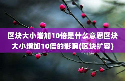 区块大小增加10倍是什么意思区块大小增加10倍的影响(区块扩容)