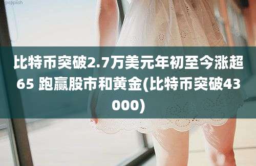 比特币突破2.7万美元年初至今涨超65 跑赢股市和黄金(比特币突破43000)