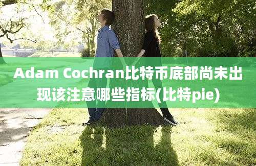 Adam Cochran比特币底部尚未出现该注意哪些指标(比特pie)