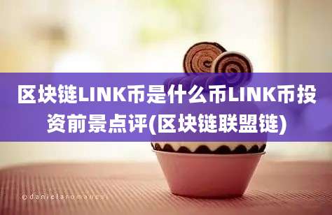 区块链LINK币是什么币LINK币投资前景点评(区块链联盟链)