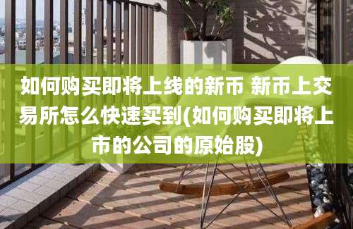 如何购买即将上线的新币 新币上交易所怎么快速买到(如何购买即将上市的公司的原始股)