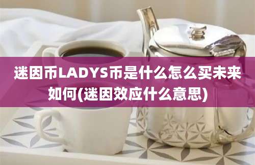 迷因币LADYS币是什么怎么买未来如何(迷因效应什么意思)