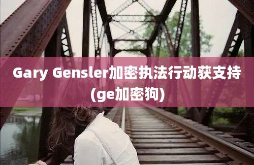 Gary Gensler加密执法行动获支持(ge加密狗)