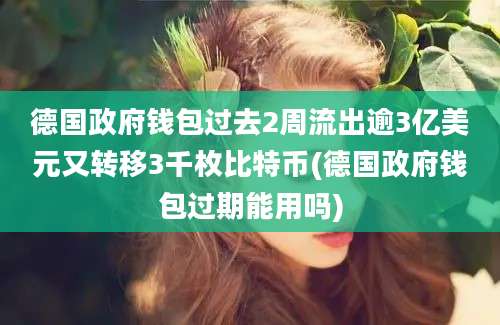 德国政府钱包过去2周流出逾3亿美元又转移3千枚比特币(德国政府钱包过期能用吗)