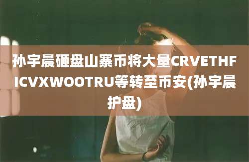 孙宇晨砸盘山寨币将大量CRVETHFICVXWOOTRU等转至币安(孙宇晨护盘)