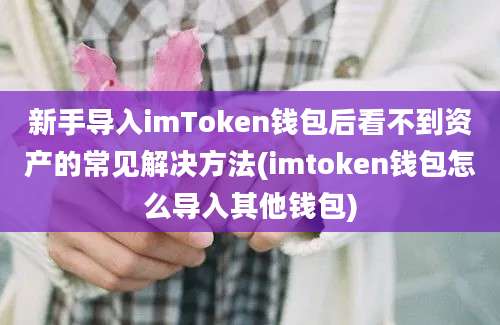 新手导入imToken钱包后看不到资产的常见解决方法(imtoken钱包怎么导入其他钱包)