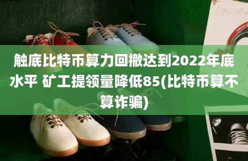 触底比特币算力回撤达到2022年底水平 矿工提领量降低85(比特币算不算诈骗)