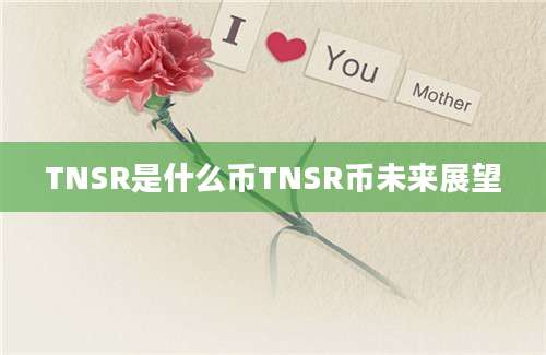 TNSR是什么币TNSR币未来展望