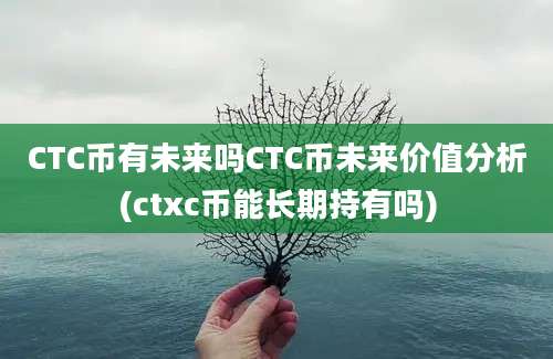 CTC币有未来吗CTC币未来价值分析(ctxc币能长期持有吗)