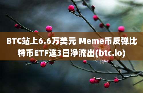 BTC站上6.6万美元 Meme币反弹比特币ETF连3日净流出(btc.io)