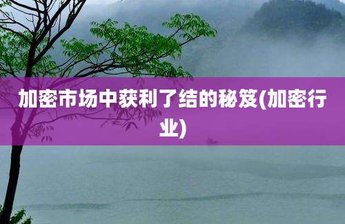 加密市场中获利了结的秘笈(加密行业)