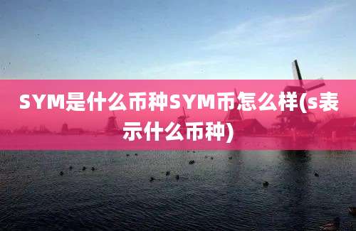 SYM是什么币种SYM币怎么样(s表示什么币种)