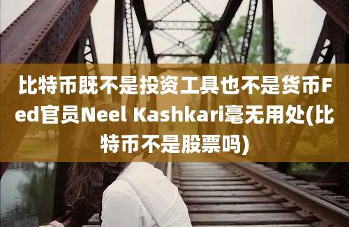 比特币既不是投资工具也不是货币Fed官员Neel Kashkari毫无用处(比特币不是股票吗)