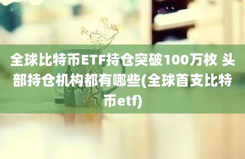 全球比特币ETF持仓突破100万枚 头部持仓机构都有哪些(全球首支比特币etf)