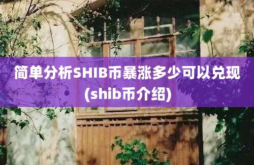 简单分析SHIB币暴涨多少可以兑现(shib币介绍)