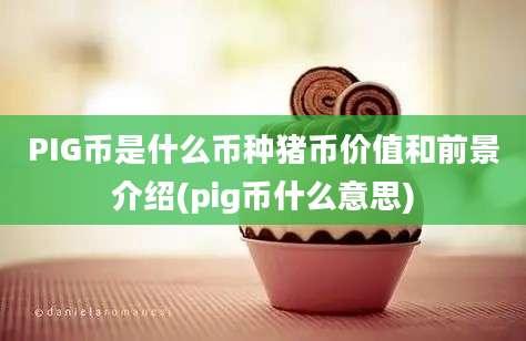 PIG币是什么币种猪币价值和前景介绍(pig币什么意思)