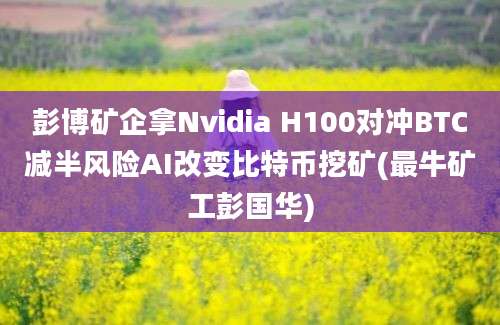 彭博矿企拿Nvidia H100对冲BTC减半风险AI改变比特币挖矿(最牛矿工彭国华)