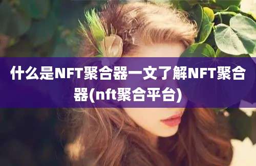 什么是NFT聚合器一文了解NFT聚合器(nft聚合平台)