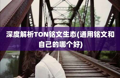 深度解析TON铭文生态(通用铭文和自己的哪个好)