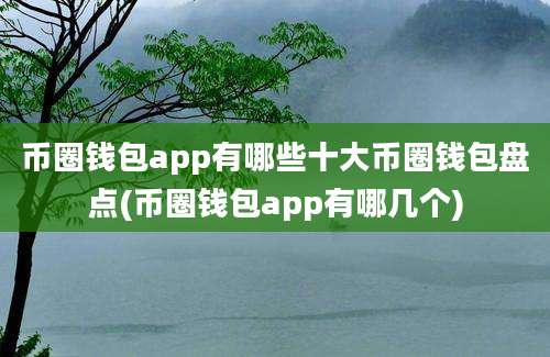 币圈钱包app有哪些十大币圈钱包盘点(币圈钱包app有哪几个)