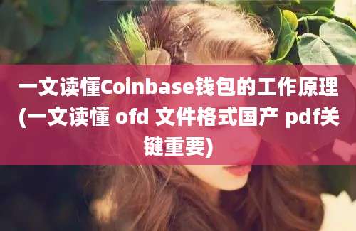 一文读懂Coinbase钱包的工作原理(一文读懂 ofd 文件格式国产 pdf关键重要)