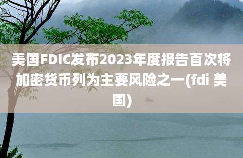 美国FDIC发布2023年度报告首次将加密货币列为主要风险之一(fdi 美国)